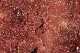 Glittering, Ruby Red Vanadinite Crystals on Barite - Morocco #278229-2